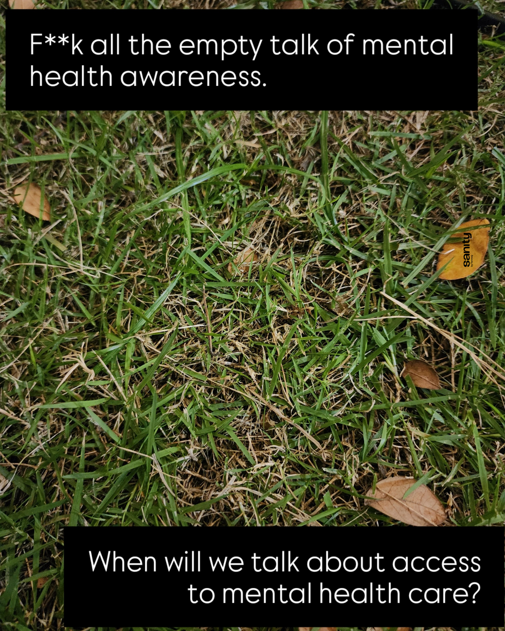 Dry grey and green grass and a few dried leaves. The text reads: "F**k all the empty talk of mental health awareness. When will we talk about access to mental health care?"