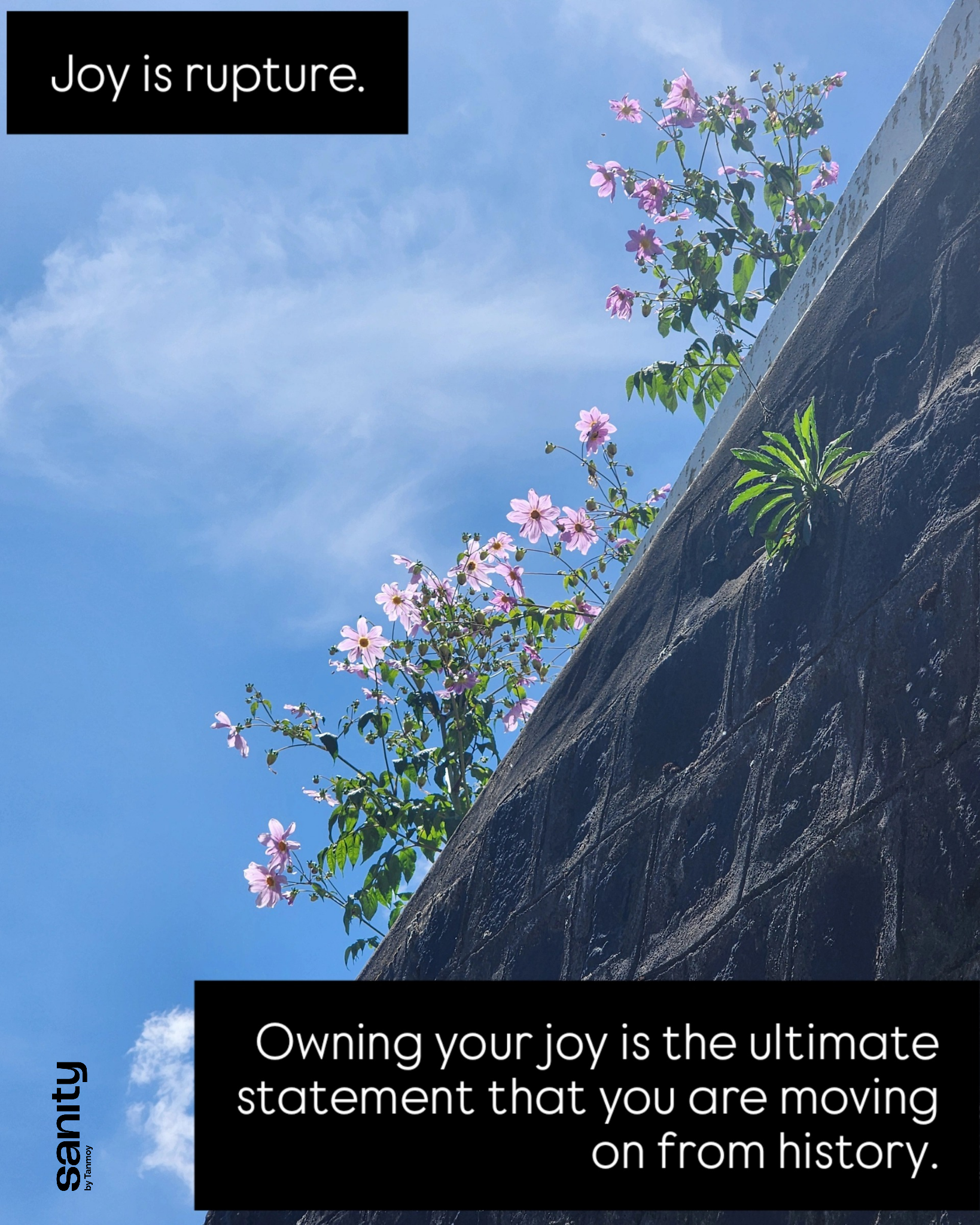 Bright pink flowers growing on a stone wall. The text reads: "Joy is rupture. Owning your joy is the ultimate statement that you are moving on from history."