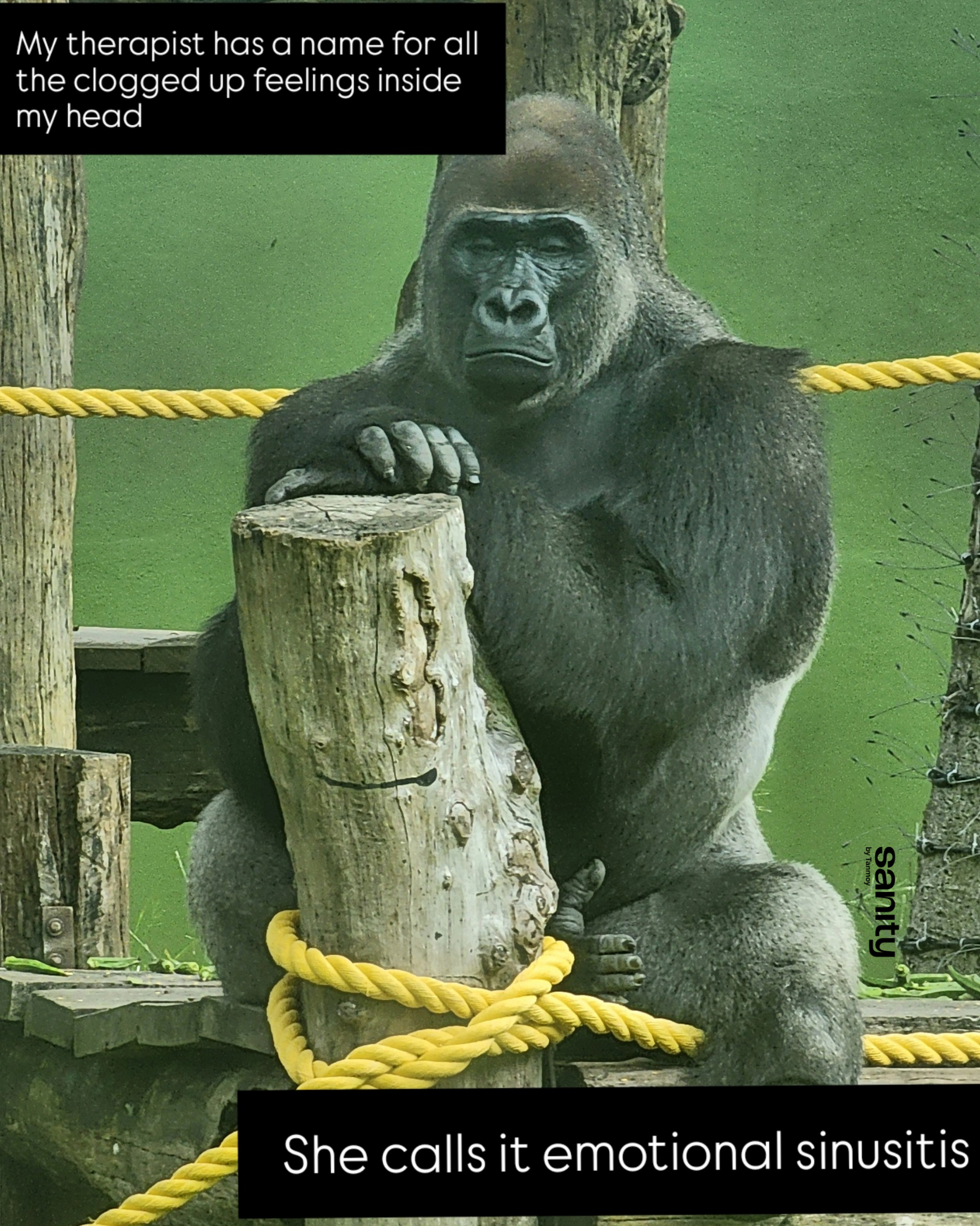 A badgered looking gorilla sitting in a zoo enclosure. The text reads: "My therapist has a name for all the clogged up feelings inside my head. She calls it emotional sinusitis."