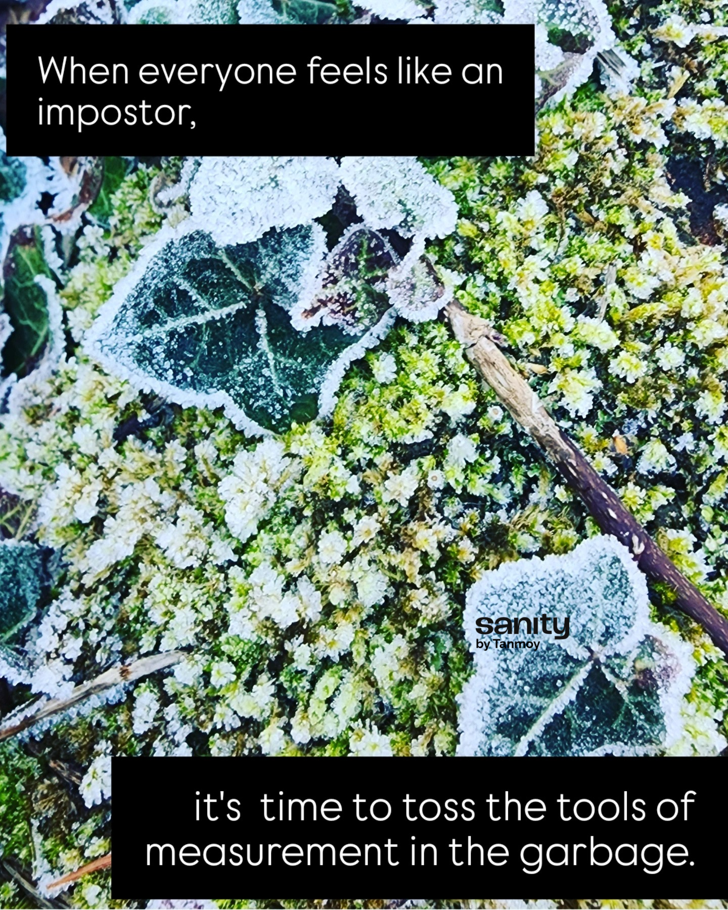 Grass, flower, and leaves in vivid hues of green covered in frost. The text reads "When everyone feels like an impostor, it's time to toss the tools of measurement in the garbage."