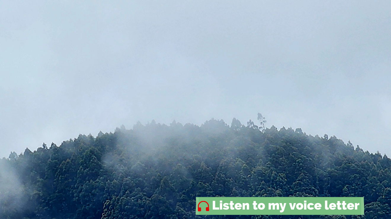 The hills where my ambition came to die