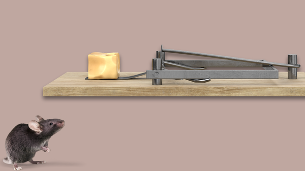 A mouse looks up at a mousetrap with a block of cheese as a bait