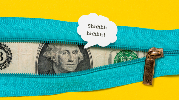 A bundle of US dollar bills peeking out from a half-zipped bag